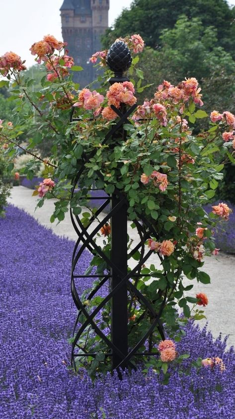 Climbing Roses Trellis, Obelisk Trellis, Metal Garden Trellis, Rose Arbor, Rose Trellis, Garden Obelisk, Garden Vines, Deco Nature, Classic Garden