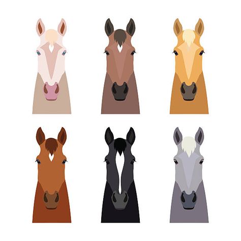 13,000+ Horse Face Stock Illustrations, Royalty-Free Vector Graphics & Clip Art - iStock | White horse face, Black horse face, Horse face straight on Horse Vector, Horse Party, Horse Illustration, Face Illustration, Horse Logo, Equestrian Gifts, Horse Face, Pallet Art, Equine Art