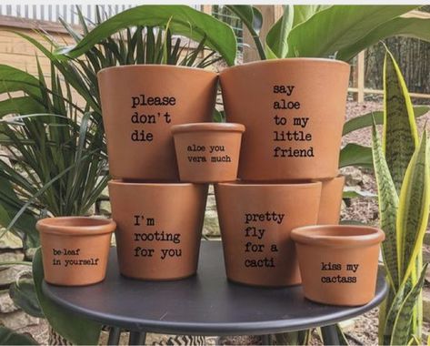 Punny Pots, Variegated Snake Plant, Terra Cotta Plant, Plant Puns, Plant Pot Design, Live House Plants, Pot Art, Plant Pot Diy, Idee Cricut