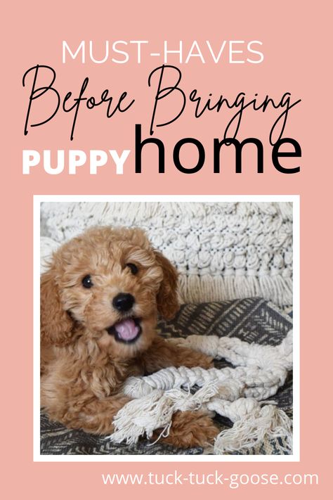 What Do Puppies Need, Checklist For New Puppy, Preparing To Bring Puppy Home, What To Buy For New Puppy, Puppy Station Ideas, Getting Ready For A Puppy, Bringing Home Puppy Checklist, Things Puppies Need, Things You Need For A New Puppy