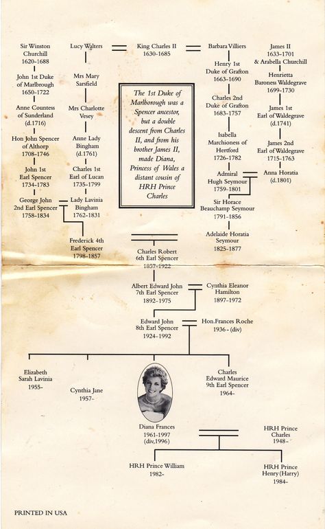 This was an insert in a BBC CD on the life of Diana, Princess of Wales (a/k/a Princess Diana). Princess Diana Family Tree, Spencer Family Tree, British Royal Family Tree, Royal Family Trees, Prins William, Spencer Family, Prins Harry, Princess Diana Family, Royal History