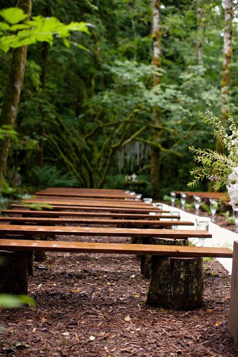 Wedding Bench, Antique Bookshelf, Rustic Wood Bench, Outdoor Wedding Ideas, Backyard Wedding Ceremony, Romantic Outdoor Wedding, Indoor Reception, Rustic Outdoor, Outside Wedding