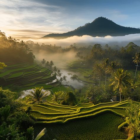 Bali Landscape, Vietnam Photography, Banaue, Beautiful Leaves, Ubud Bali, Drone Photos, Beautiful Landscape Wallpaper, Bali Travel, Ubud