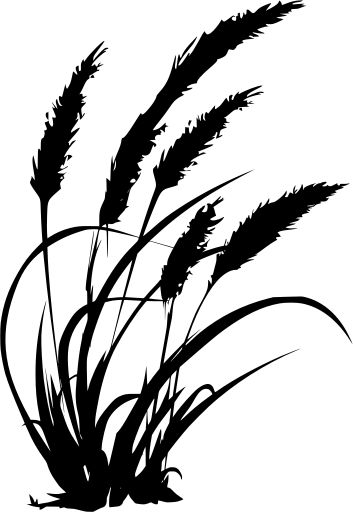 farm wheat farming grass - Free SVG Image & Icon. Plant Sillouhette, Farming Tattoo, Wheat Silhouette, Cricut Images Free Svg, Farming Svg, Wheat Farming, Wall Silhouette, Free Svg Images, Plant Silhouette