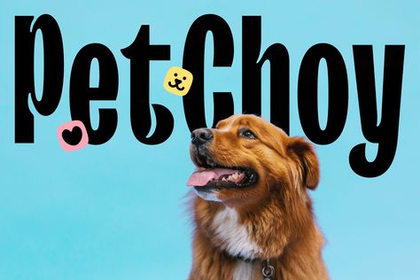 Quirky Photography, Pet Branding, Social Art, Dog Branding, Cat Icon, Custom Templates, Packaging Design Inspiration, Animals Images, Pet Store