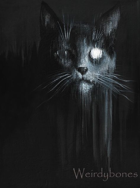 One Eyed Cat Drawing, Eye Scar, One Eyed Cat, Scary Images, Evil Cat, Creepy Cat, Scary Cat, Open Art, Gothic Horror