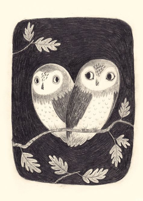 Night Owl Illustration, Flying Owl Illustration, Chuck Groenink, Owls Illustration, Meg Hunt, Cute Owl Illustration, Pretty Owl, Two Owls, Owl Drawing