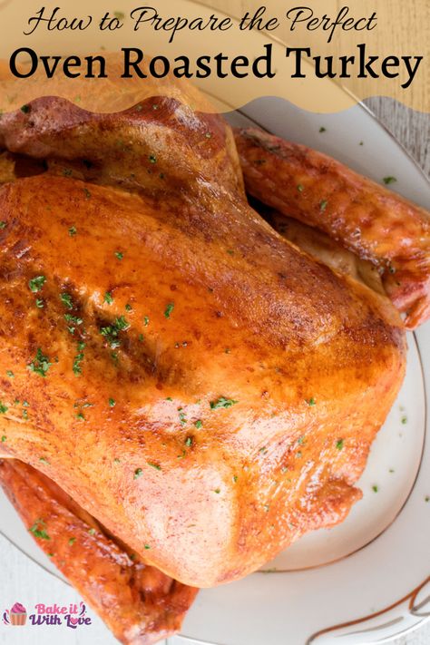 Oven Roasted Turkey Turkey Basting Sauce, Turkey Baste Recipe, Turkey Baste, Turkey Basting, Basting A Turkey, Turkey In Oven, Brine Recipes, Sleeve Tattoos For Black Women, Tattoos For Black Women