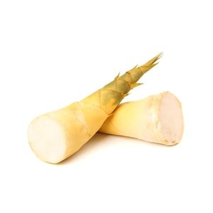 Market Intelligence of Bamboo Shoots Bamboo Shoot, Agriculture Industry, Bamboo Shoots, Global Market, Agriculture, Quick Saves