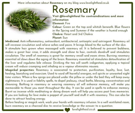 Rosemary Healing Properties, Rosemary Incense Meaning, Magical Properties Of Rosemary, Rosemary Herb Magic, Rosemary Properties Magic, Rosemary Benefits Healing Herbs, Horehound Magical Properties, Rosemary Meaning Witchcraft, Rosemary Uses Witch