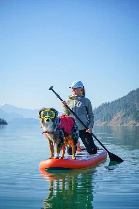 Travel With Pets, Traveling With Dog, Hiking With Dog, Hiking Dog, Dog Hiking, Dog Lifestyle, Adventure Dog, Active Dogs, Sup Stand Up Paddle