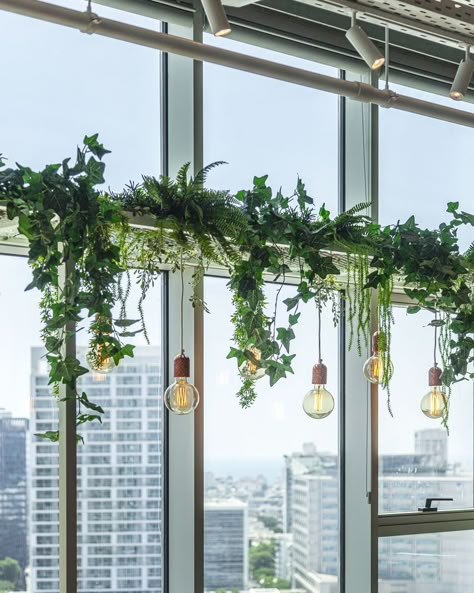 Green Hanging Plants, Plant Ceiling Decor, Ceiling Plants, Green Ceiling, Office Ceiling, Plant Installation, Plant Study, Window Plants, Green Office