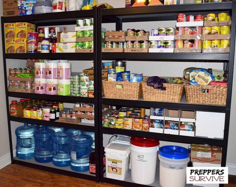 Prepper's Pantry - Food Storage Pictures - Images of Canned Food Preppers Food Storage, Prepper Supplies, Preppers Pantry, Prepper Food, Prepper Pantry, Stock Pile, Emergency Preparedness Food, Emergency Food Storage, Organized Pantry