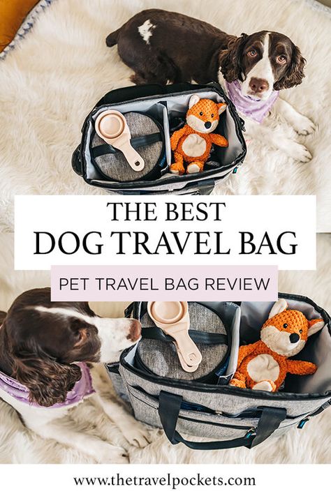 Traveling With Dog, Dog Travel Essentials, Road Trip With Dog, Dog Friendly Vacation, Puppy Bag, Travel Organizer Bag, Dog Bags, Dog Organization, Dog Travel Accessories