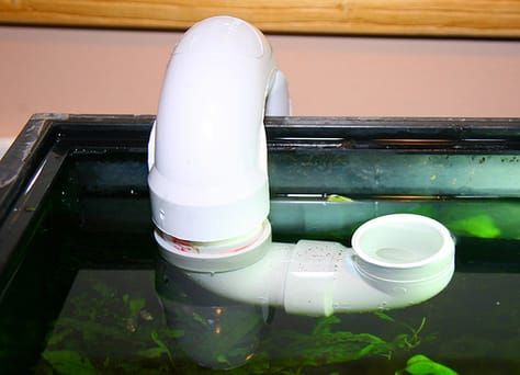 Easy DIY automatic water change system for less then $50 - DIY Aquarium Projects - Aquatic Plant Central Aquarium Sump, Aquarium Maintenance, Tropical Fish Aquarium, Fresh Water Fish Tank, Diy Aquarium, Diy Tank, Nature Aquarium, Aquatic Plant, Saltwater Tank