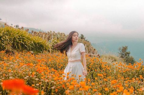 If you’re itching to get out of the city but bored with your usual out-of-town haunts, why not go for a mountainside location that hardly makes you feel like you’re still in the country? The Northern Blossom Flower Farm in Atok, Benguet does just that. Travelers have said that at first glance, the flower farm looks … Prenuptial Photoshoot, Baguio City, Free Photo Filters, Farm Clothes, Flower Photoshoot, Blossom Garden, Beyond The Sea, Farm Photo, Field Of Flowers