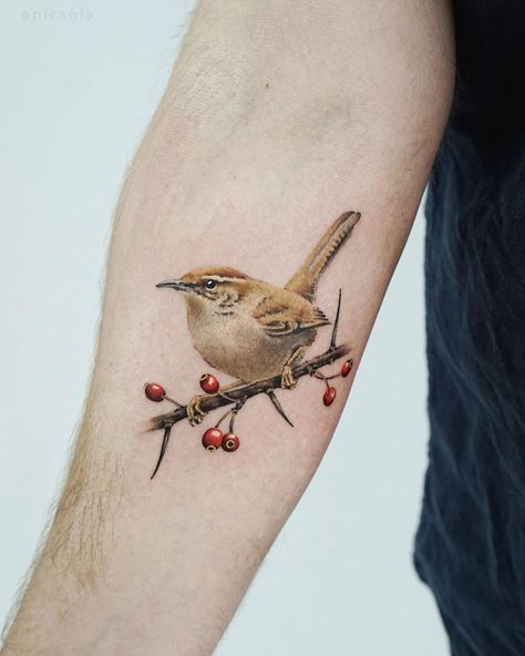 Ola | tattoo artist on Instagram: “A Winter Wren for Reiner, thank you! #birdtattoo #realismtattoo #wren” Bird Arm Tattoos For Women, Tattoos For Women Forearm, Arm Tattoos For Women Forearm, Tattoos Colorful, Wren Bird, Colorful Tattoos, Tattoo On Forearm, Tatoo Inspiration, Blue Rose Tattoos