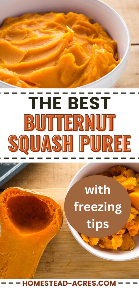 Do you love veggie dishes? Try this butternut squash puree recipe. It's an ideal addition to fall side dishes and fits perfectly into your Thanksgiving recipes. The guide offers clear steps to cook and puree butternut squash, making your squash recipes a breeze. Explore this easy-to-follow guide that includes handy freezing tips, ensuring your squash puree is ready whenever you need it. Don't miss out on making this delicious vegetable dish part of your fall recipes lineup! Freezing Butternut Squash, Fall Side Dishes, Butternut Squash Baby Food, Frozen Butternut Squash, Easy Butternut Squash, Baked Butternut Squash, Butternut Squash Puree, Squash Puree, Side Dish Recipes Easy