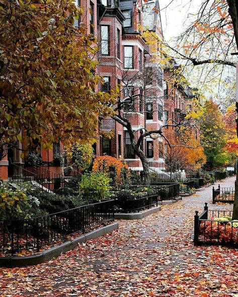 Fall City, Scenery Photos, Autumn In New York, Visit New York, Autumn Scenes, Autumn Scenery, City Aesthetic, City Streets, Auckland