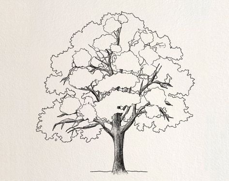 Trees Sketching, Maple Tree Drawing, Trees Drawing Tutorial, Freehand Sketching, Trees Drawing, Tree Drawing Simple, Pine Tree Drawing, Chamomile Plant, Drawing Tree