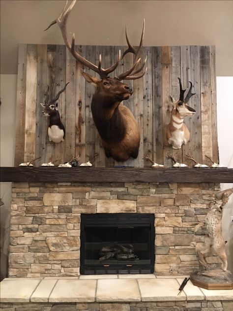 Perfect Statement For Living Room Deer Hunting Decor, Taxidermy Decor, Deer Heads, Deer Mounts, Hunting Room, Living Room Decor Rustic, Hunting Decor, Trophy Rooms, Hunting Cabin