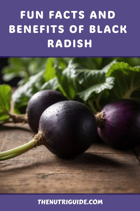 Black Radish Recipe, How To Eat Radishes, Black Radish Appetizer, Different Types Of Radishes, Radish Nutrition Facts, Gallbladder Stones, Black Radish, Gut Recipes, Regular Bowel Movements