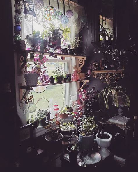 Witch Cottage Aesthetic, Bohemian Gothic Decor, Zen Corner, Plant Window, Witch Cottage, Cottage Aesthetic, Dark Home Decor, Dark Home, Vintage Goth