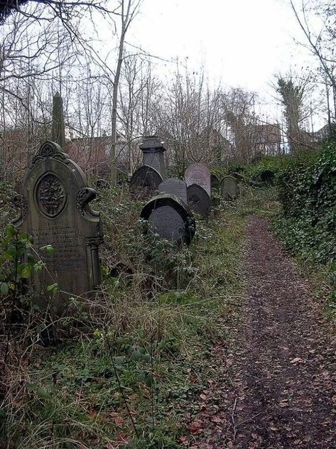 Overgrown Old Cemetery, Cemetery Headstones, Old Cemeteries, Cemetery Art, South Yorkshire, Haunted Places, Six Feet Under, Abandoned Buildings, Yorkshire England