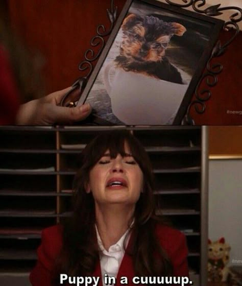 New Girl Memes, New Girl Funny, Jess New Girl, New Girl Tv Show, New Girl Quotes, Jessica Day, Nick Miller, Funny Girl Quotes, Things To Make