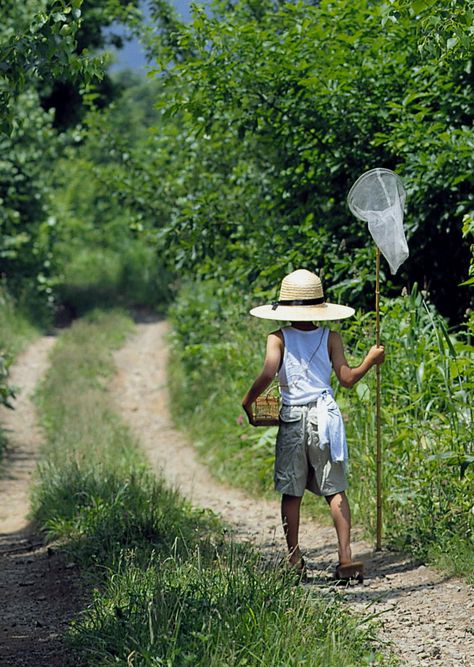 Lily Pond, Dirt Road, Rural Life, Country Charm, Going Fishing, Animal Games, Farm Girl, Summer Breeze, Simple Life