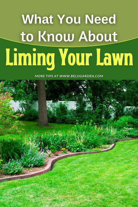 Liming Your Lawn Lime For Lawns, Different Green Shades, Grass Species, Cool Fire Pits, Healthy Lawn, Soil Testing, Green Shades, Different Shades Of Green, Green Lawn