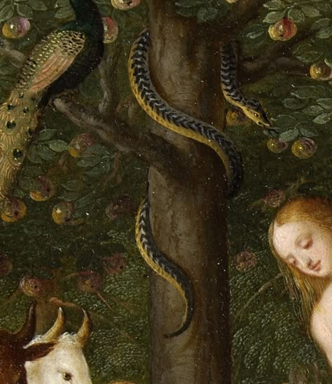 Adam and Eve in Paradise by Johann König (detail). Snake Attacking, Biblical Mythology, Rotten Apple, Medusa Gorgon, Lucrezia Borgia, Hozier, Garden Of Eden, Adam And Eve, A Snake