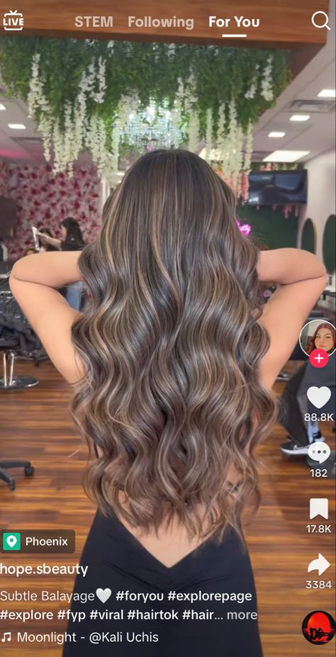 Baby Lights Brunettes, Honey Brown Balayage With Money Piece, Summer Hair Color For Latinas, Honey Brown Balayage On Dark Hair, Dark Brunette Hair With Caramel Highlights, Cool Tone Brown Highlights, Neutral Balayage Brunettes, Highlights For Tan Skin Tone, Neutral Brown Highlights