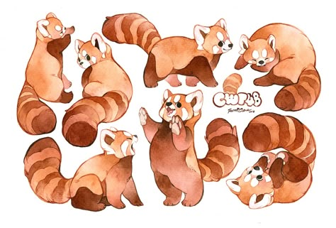 Panda Drawing, Red Pandas, Panda Art, 캐릭터 드로잉, Arte Sketchbook, Dessin Adorable, Animal Sketches, Arte Animal, Red Panda