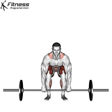 Deadlift Muscles Worked, Deadlift Benefits, Erector Spinae, Deadlift Workout, Full Leg Workout, 300 Workout, Barbell Deadlift, Free Workout Plans, Hip Exercises