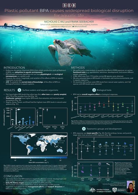 Estuarine Crocodile, Scientific Poster Design, Academic Poster, Scientific Poster, Stradbroke Island, Research Poster, Daintree Rainforest, Environmental Research, Google Scholar