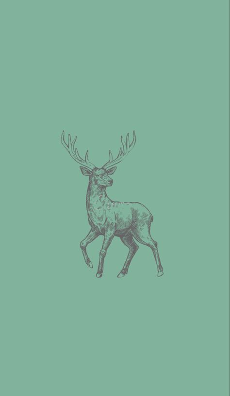 Deer Iphone Wallpaper, Deer Wallpaper Iphone, Christmas Deer Wallpaper, Minimal Homescreen, Hunting Wallpaper, Stags Head, Wallpaper Forest, Grey Hound, Deer Wallpaper