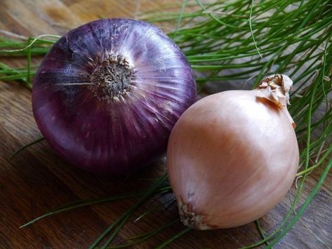 How to Grow Onions: Simple & Easy Onion Benefits Health, Green Onions Growing, Growing Onions, Onion Bulbs, Planting Onions, Bee Garden, Garden Help, Small Space Gardening, Garden Pests