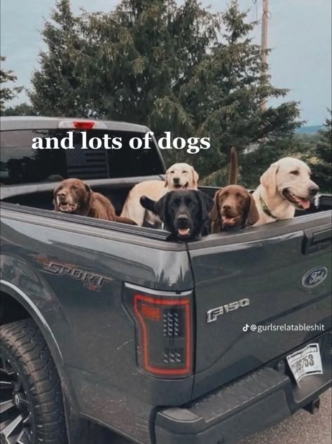 Foto Cowgirl, Country Aesthetic, Dream Future, Cute Animals Images, Western Aesthetic, Cute Animal Photos, A Truck, My Dream Life, Animals Images