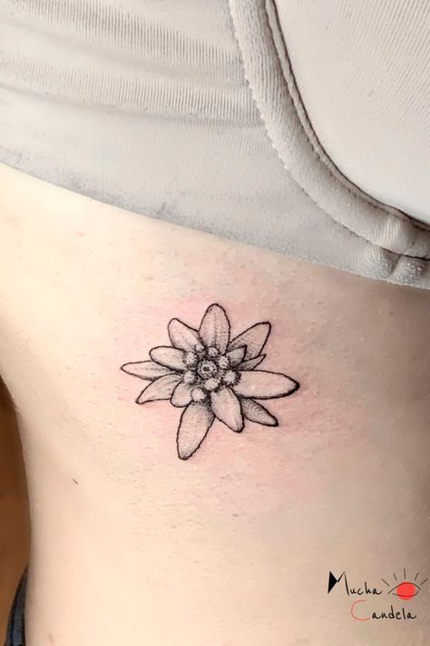 Edelweiss Flower Tattoo, Edelweiss Tattoo, Germany Tattoo, Flower Tattoo Stencils, Flower Tattoo Meanings, Health Tattoo, Tattoos Arm, Edelweiss Flower, Pen Tattoo