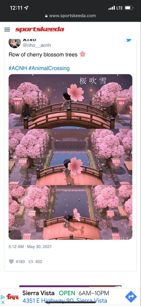 Animal Crossing Sakura Island, Animal Crossing Cherry Blossom Island, Acnh Cherry Blossom Ideas, Acnh Sakura Design, Cherry Blossom Island Acnh, Acnh Sakura Island, Acnh Cherry Blossom Path, Acnh Pink Citycore, Cherry Blossom Animal Crossing