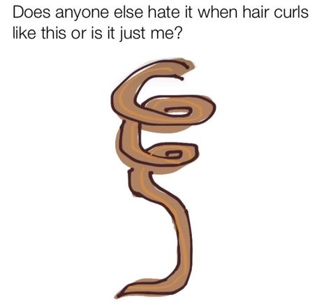 Curly Hair Humor, Relatable Curly Hair, Curly Hair Problems Funny, Curly Hair Jokes, Curly Girl Problems, Hair Jokes, Curly Hair Problems, Funny Tattoos, Hashtag Relatable