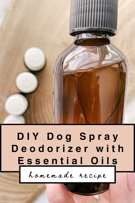 ​This homemade dog spray deodorizer with essential oils is a natural solution to pet odors of all kinds. From getting rid of that wet dog smell, to their bedding, furniture, air in your home or even just a smelly dog, this stinky dog spray will freshen everything up! Essential Oil Dog Spray, Essential Oil Dog Shampoo, Dog Odor Spray, Dog Deodorizer Spray, Dog Deodorizer, Dog Paw Balm, Natural Dog Shampoo, Essential Oils Dogs, Stinky Dog