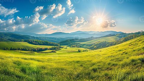 Beautiful Countryside, Grassy Field, Tree Saw, Sunny Afternoon, Cityscape Photos, Rolling Hills, Nature Backgrounds, Background Banner, In The Mountains