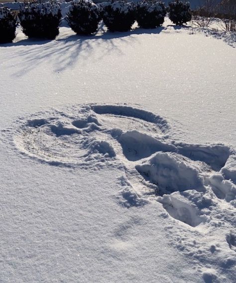 snow angels are the best winter activity #snow #winter #angel #miamiuniversity #college #vsco @vsco Snow Angel Aesthetic, Ice Butterfly, Mimi Core, Winter Angel, Gigi Hadid Street Style, 2024 Moodboard, Merry Christmas Family, Winter Activity, Snow Angel