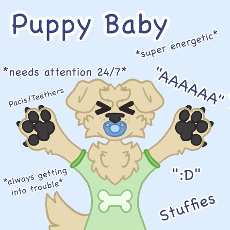 Puppy Boyfriend Type, Puppy Life, Pup Space, Puppy Gf, Petregre Puppy, Pet Reggresion, Pup Play, Pup Regressor, Pet Regressor Puppy