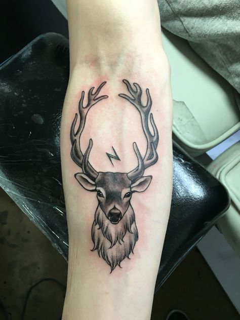 Stag Stag Tattoo Design, Hedwig Tattoo, Buck Tattoo, Deer Tattoos, Elk Tattoo, Deer Tattoo Designs, Stag Tattoo, Female Tattoos, Tattoo Forearm