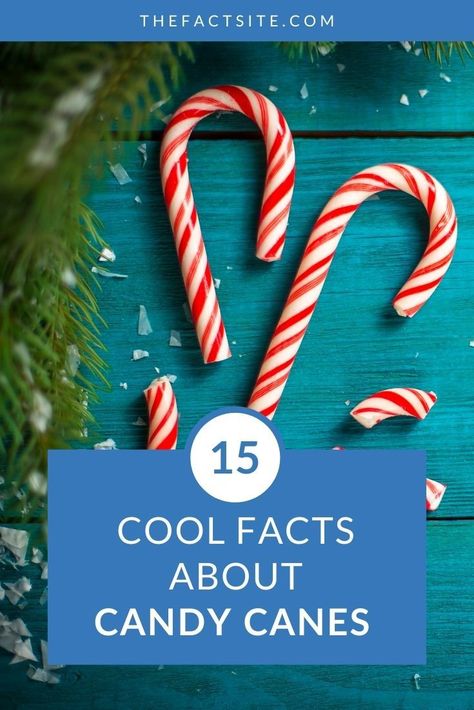 Candy canes traditionally come out at Christmas time. National Candy Cane Day is celebrated 26th December in the United States! They are perfect for crafting, decorating and delicious to eat! Click here to learn all you need to know about candy canes. #TheFactSite #Facts #CandyCanes #NationalHolidays #Christmas Printable Candy Cane, Christmas Facts, Cool Candy, Candy Cane Game, Candy Cane Legend, Candy Cane Coloring Page, Cool Facts, Christmas Trivia, Candy Sticks