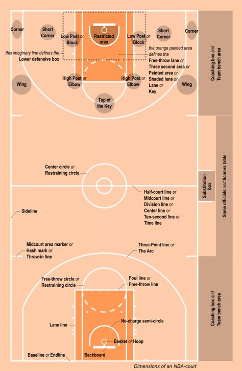 Basketball Court Measurements, Youth Basketball Plays, Basketball Court Pictures, Nba Basketball Court, Basketball Court Layout, Basketball Rules, Basketball Moves, Indoor Basketball Court, Bola Basket