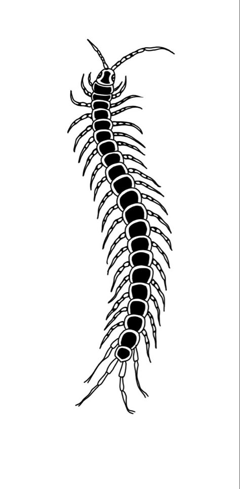 Centipede Tattoo Outline, Centipede Flash Tattoo, Centipede American Traditional Tattoo, Traditional Centipede Tattoo Design, Centipede Tattoo Stencil, Centapeid Drawing, Small Centipede Tattoo, Centipede Spine Tattoo, Scorpion Tattoo Stencil